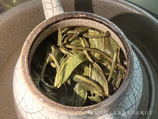 吾茶共饮2024年高杆普洱茶