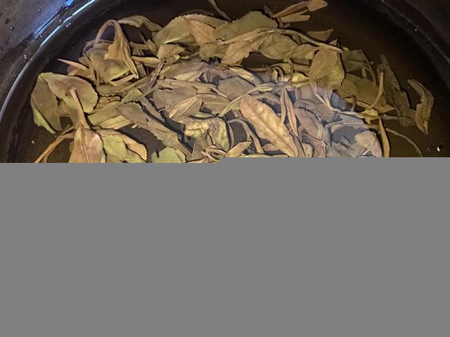 旺其火气黄山老白茶品质特点