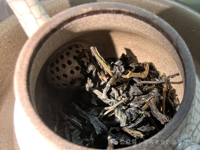 清叶集2024年哆依树挑采古树普洱茶品质特点