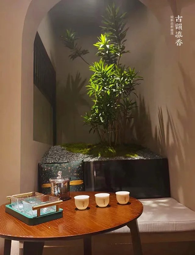 古韵流香济南普洱会馆