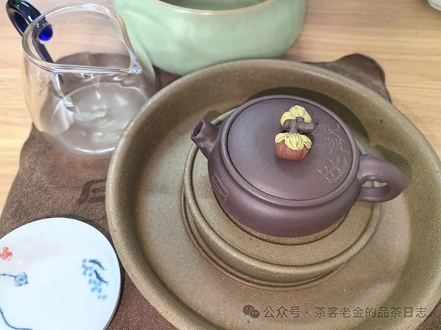2023年倚邦古树普洱茶品质特点