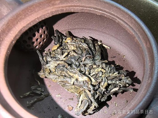 2023年倚邦古树普洱茶品质特点