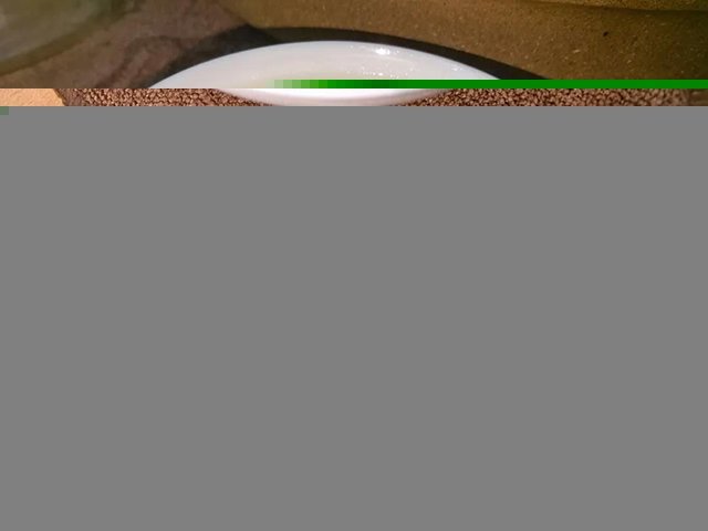 2023年倚邦古树普洱茶品质特点