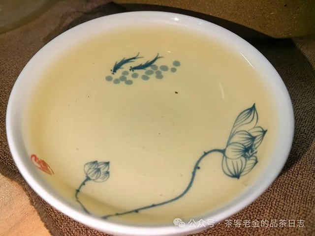 2023年倚邦古树普洱茶品质特点