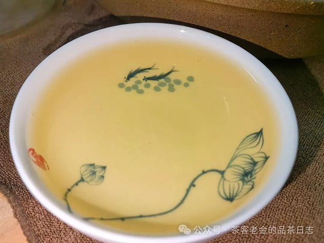 2023年倚邦古树普洱茶品质特点