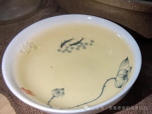 2023年倚邦古树普洱茶品质特点