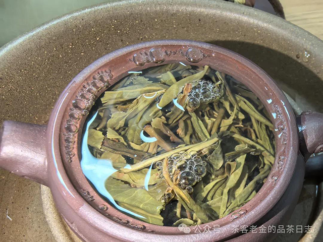 2023年倚邦古树普洱茶品质特点