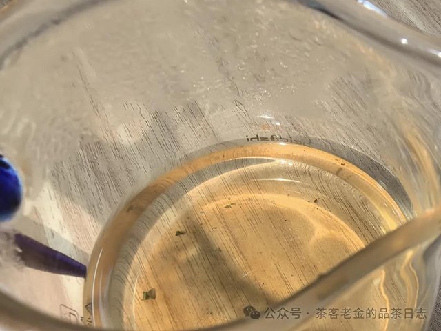 2023年倚邦古树普洱茶品质特点