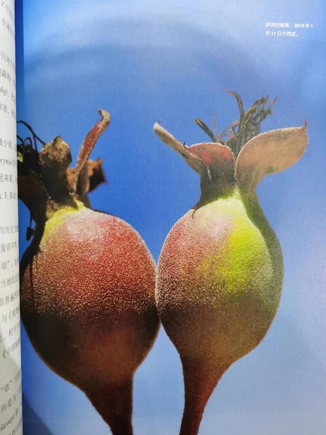 ���պŹŲ�