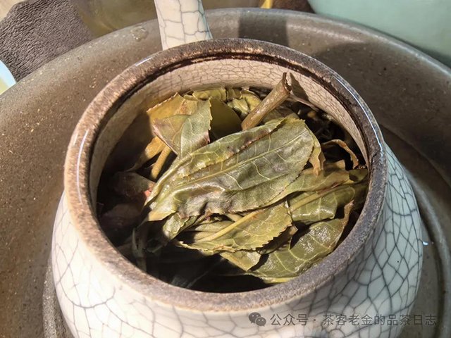 栩月古茶2024年易武泰极普洱茶品质特点