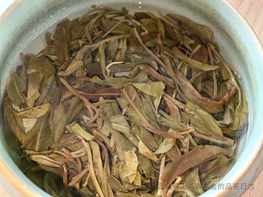 栩月古茶2024年易武泰极普洱茶品质特点