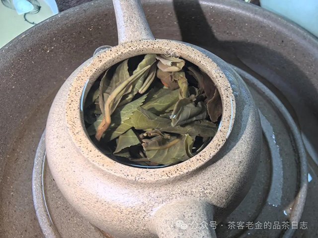 2024年易武凤凰窝普洱茶品质特点