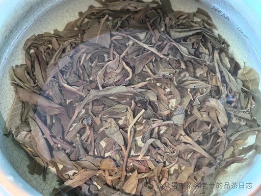 茗寿堂桂影