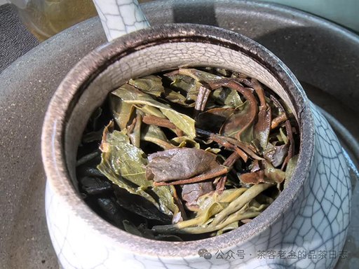湖南清叶集2023年白茶园挑采单株普洱茶品质特点