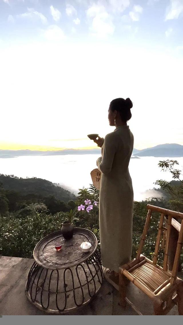 普洱杂志