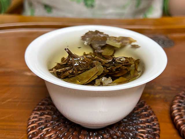 图为2021白鹿古树白茶小饼