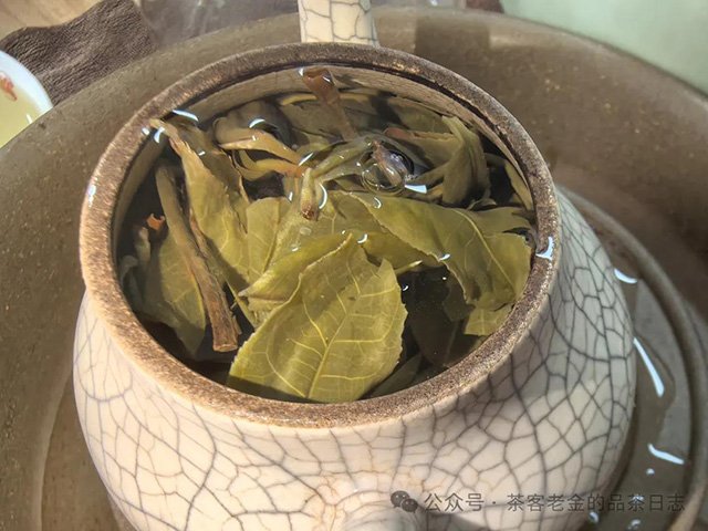 吾茶共饮2024年芊玑普洱茶品质特点