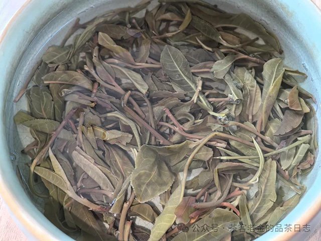 吾茶共饮2024年芊玑普洱茶品质特点