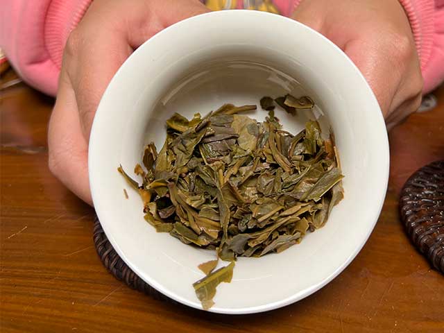 图为古墨千韵2019年千年老妖单株古树茶