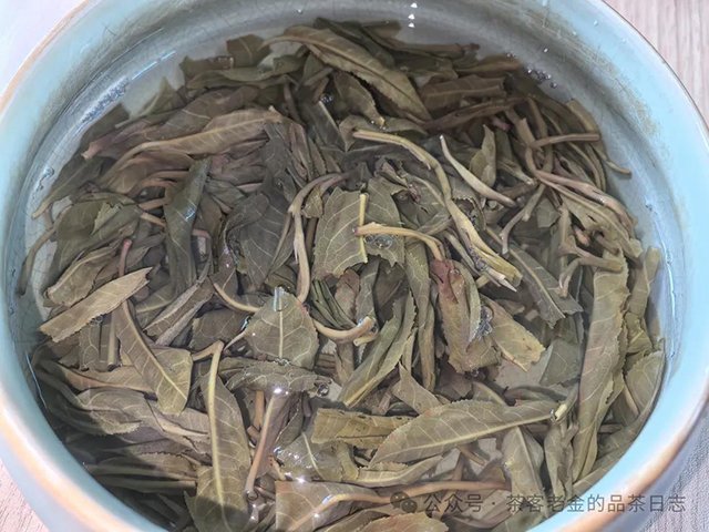 陈永珍2024年百花潭古树头春