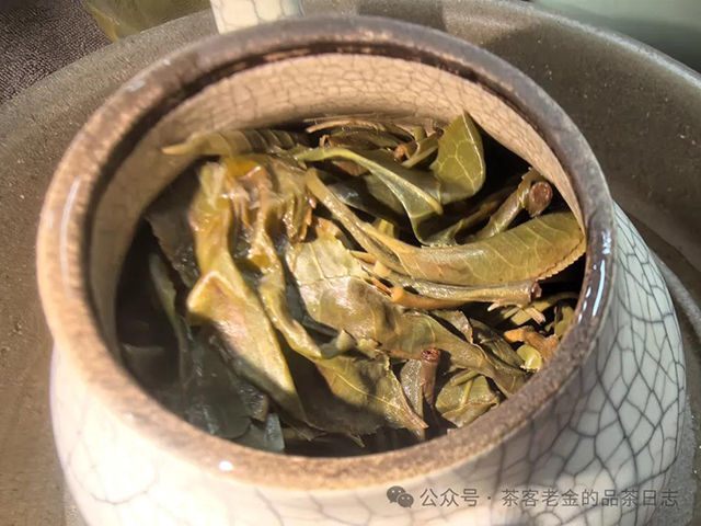吾茶共饮2024年光午普洱茶品质特点