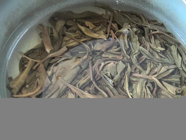 2021年蟒蛇箐单株普洱茶品质特点