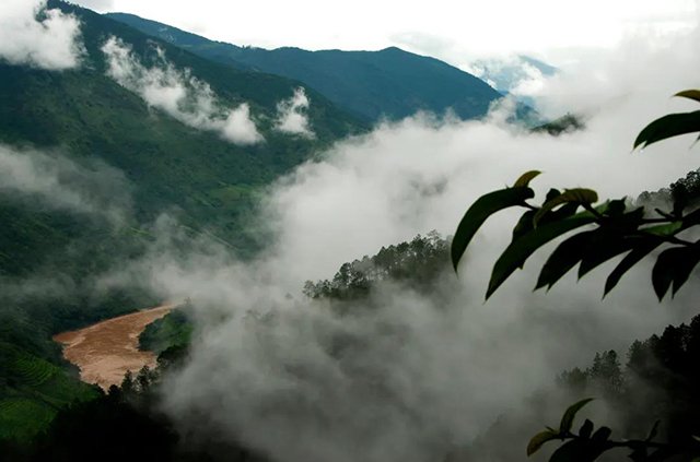 六大茶山