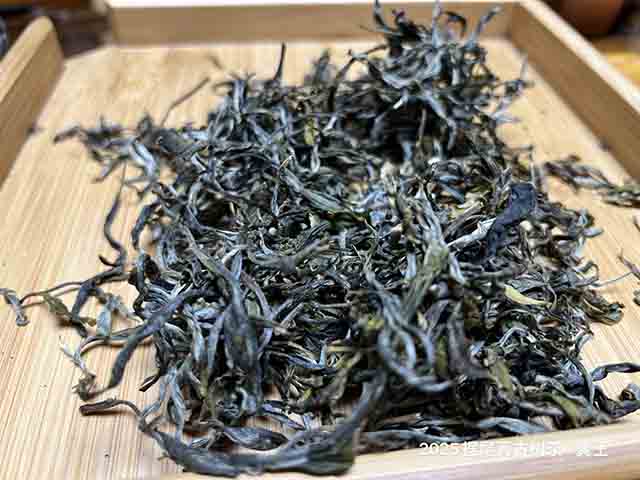 图为2025摆尾箐古树茶