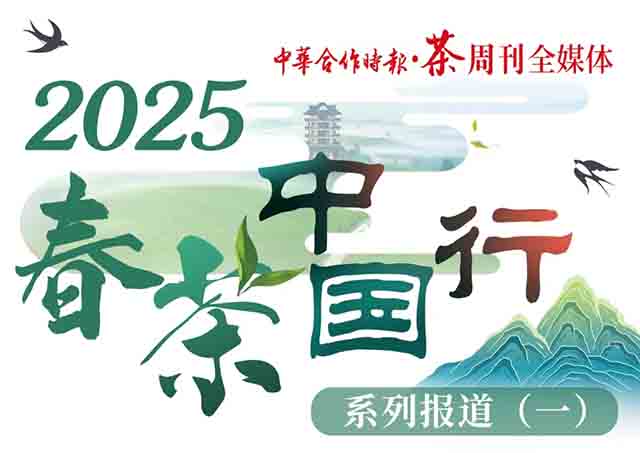2025�����й���ϵ�б���