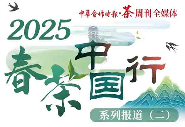 2025春茶中国行系列报道