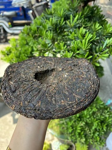 图为1996年凤牌青饼龟背饼