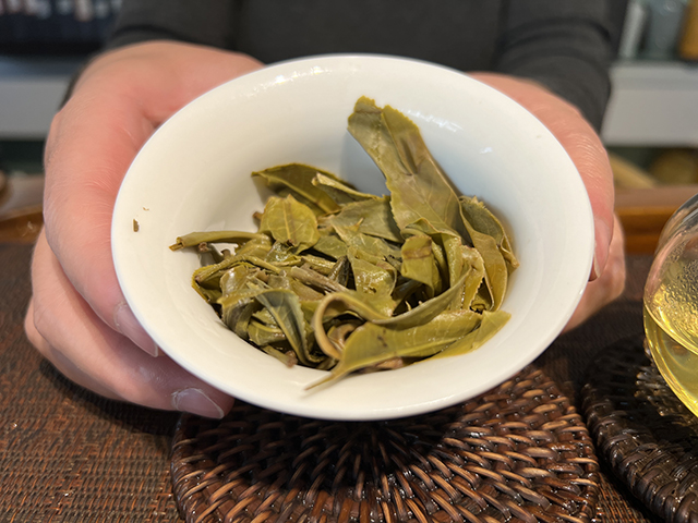 图为2026年镇沅茶山箐古树茶散料