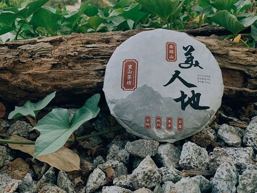 重山茶坊2019年南糯山半坡寨美人地古树小饼