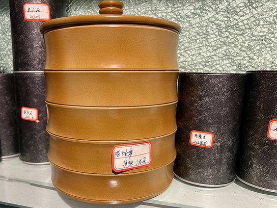 图为2023年老班章挑采古树茶散料品鉴