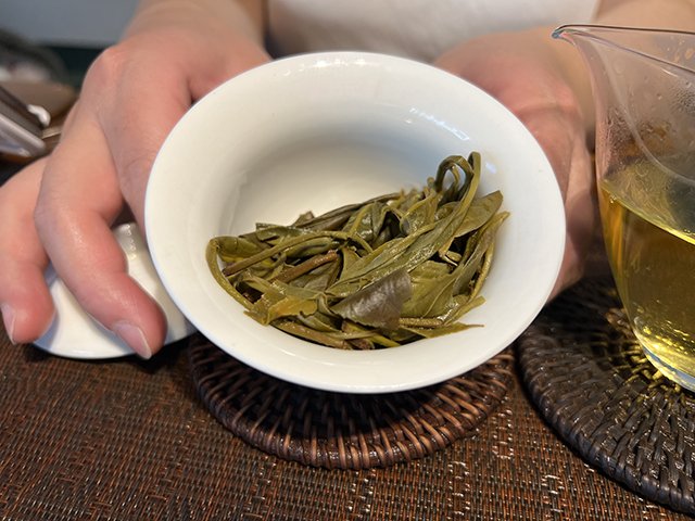 图为2023年老班章挑采古树茶散料品鉴
