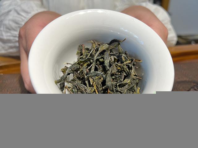 图为2026年邦东草籽地古树茶散料H总样本