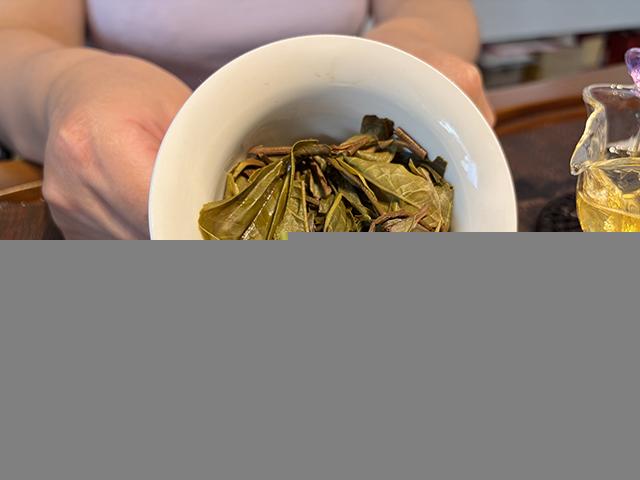 图为2026年昔归丫口古树茶散料品鉴