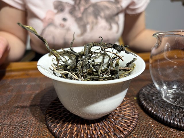 图为2026年昔归老街子古树茶散料品鉴H总样本