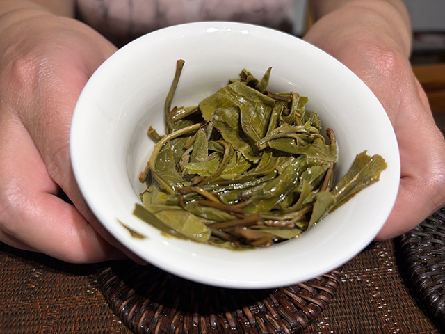 图为2026年昔归老街子古树茶散料品鉴H总样本