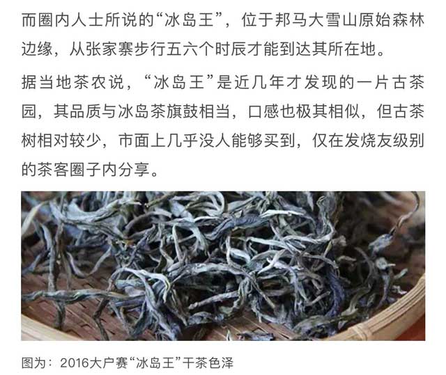 图为2017年茶山行