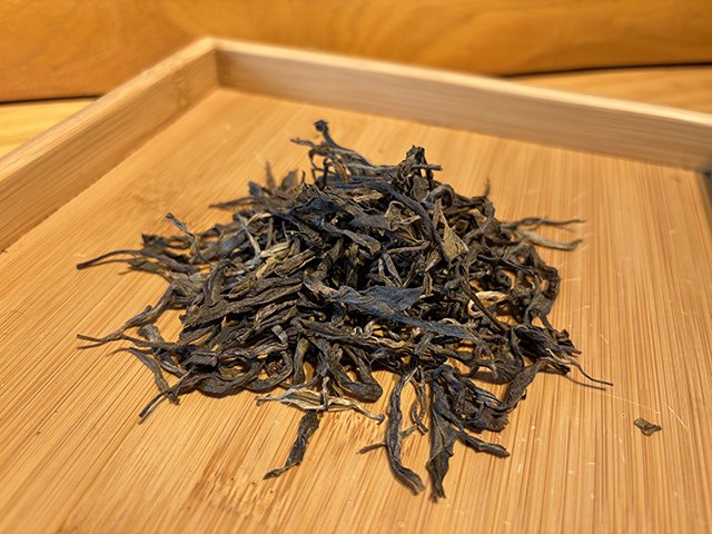 图为2025年白沙坡古树茶