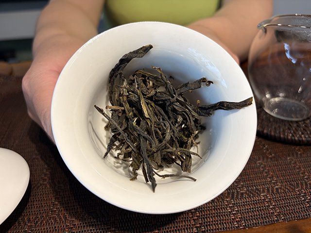 图为2025年白沙坡古树茶
