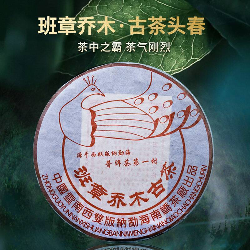 2006����ὲ賧 ������ľ�Ų� ���� 357��