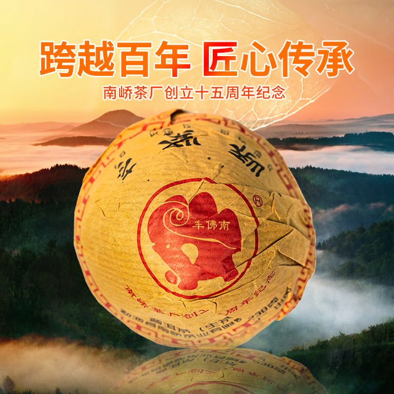 2019年南峤茶厂 南峤紧茶沱 生茶 238克
