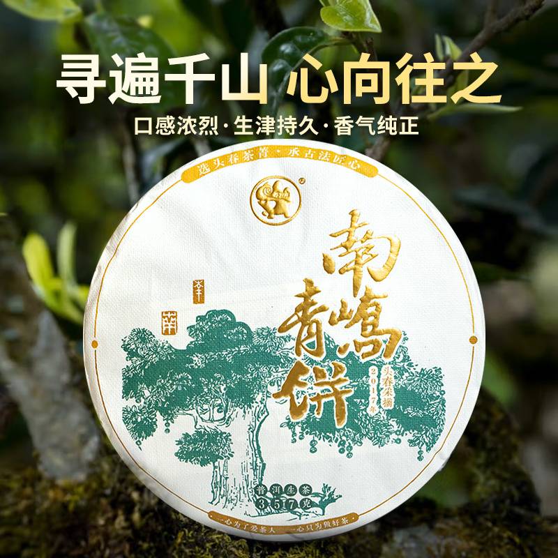2019����ὲ賧 ������ ���� 357��
